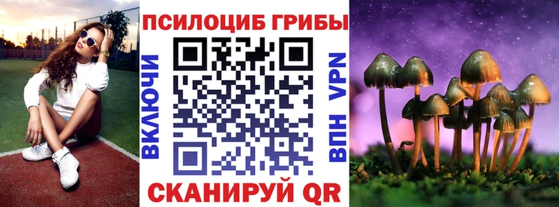 hydra ONION  цена   Кяхта  Галлюциногенные грибы Psilocybe 