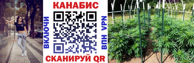 блэк спрут   Кяхта  Шишки марихуана AK-47 